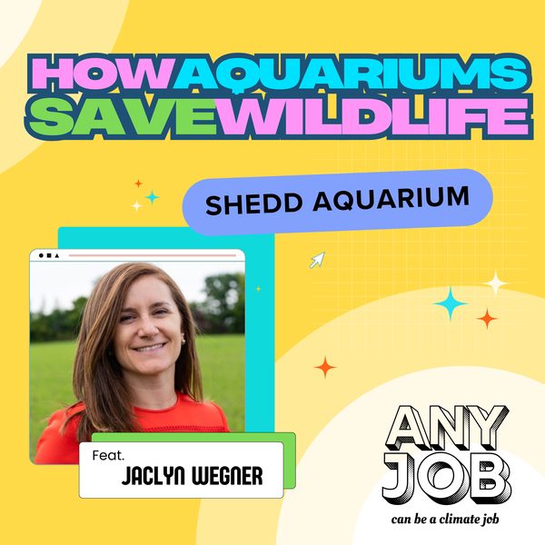 Jaclyn Wegner