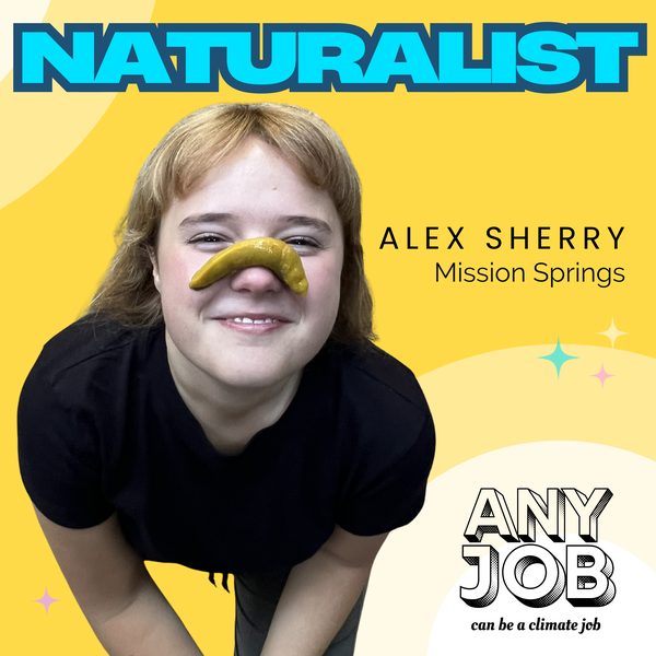 Alex Sherry
